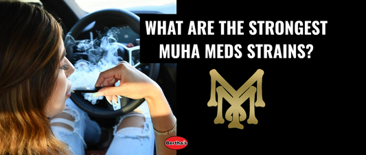 What Are The Strongest Muha Meds Strains?