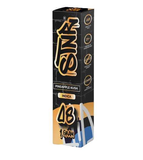 Pineapple Kush Delta 8 THC Disposable 1G - STNR