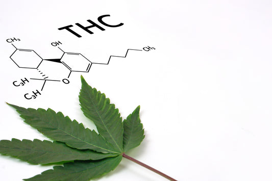 What is THC-P? The Potency Powerhouse That'll Blow Your Mind!