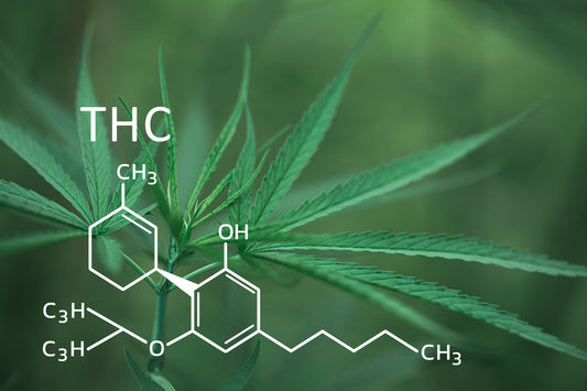 Unveiling the Hype: Exploring the Wonders of THC-A