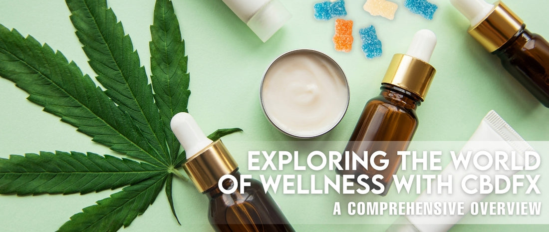 Exploring the World  of Wellness with CBDfx