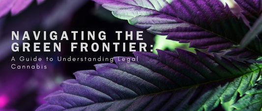 Navigating the Green Frontier: A Guide to Understanding Legal Cannabis