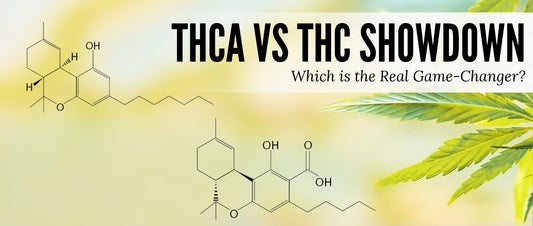 THCA vs THC Showdown