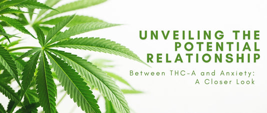 Unveiling the Potential Relationship Between THC-A and Anxiety: A Closer Look