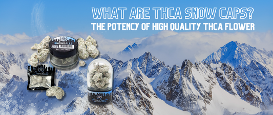 What are THCA Snow Caps? The Potency of High Quality THCA Flower