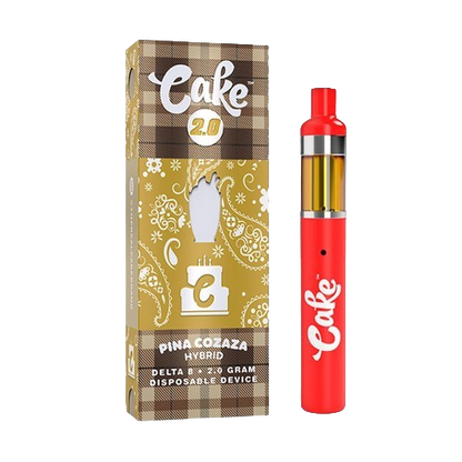 Cake Coldpack Disposable 2G